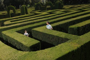 Young couple lost in hedge maze