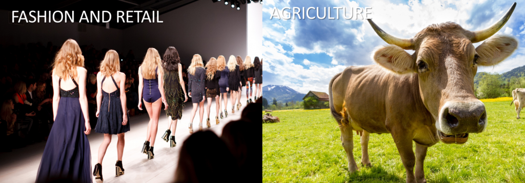 fashion_farm