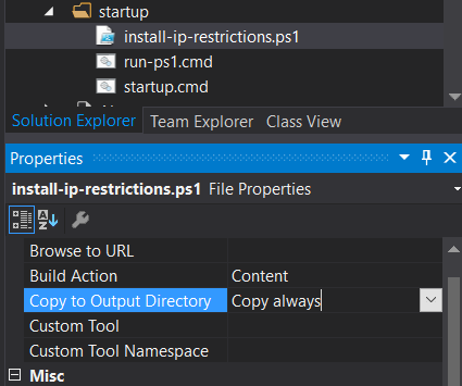 Copy to output directory