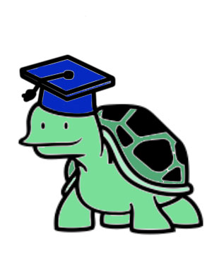 Turtle_Grad
