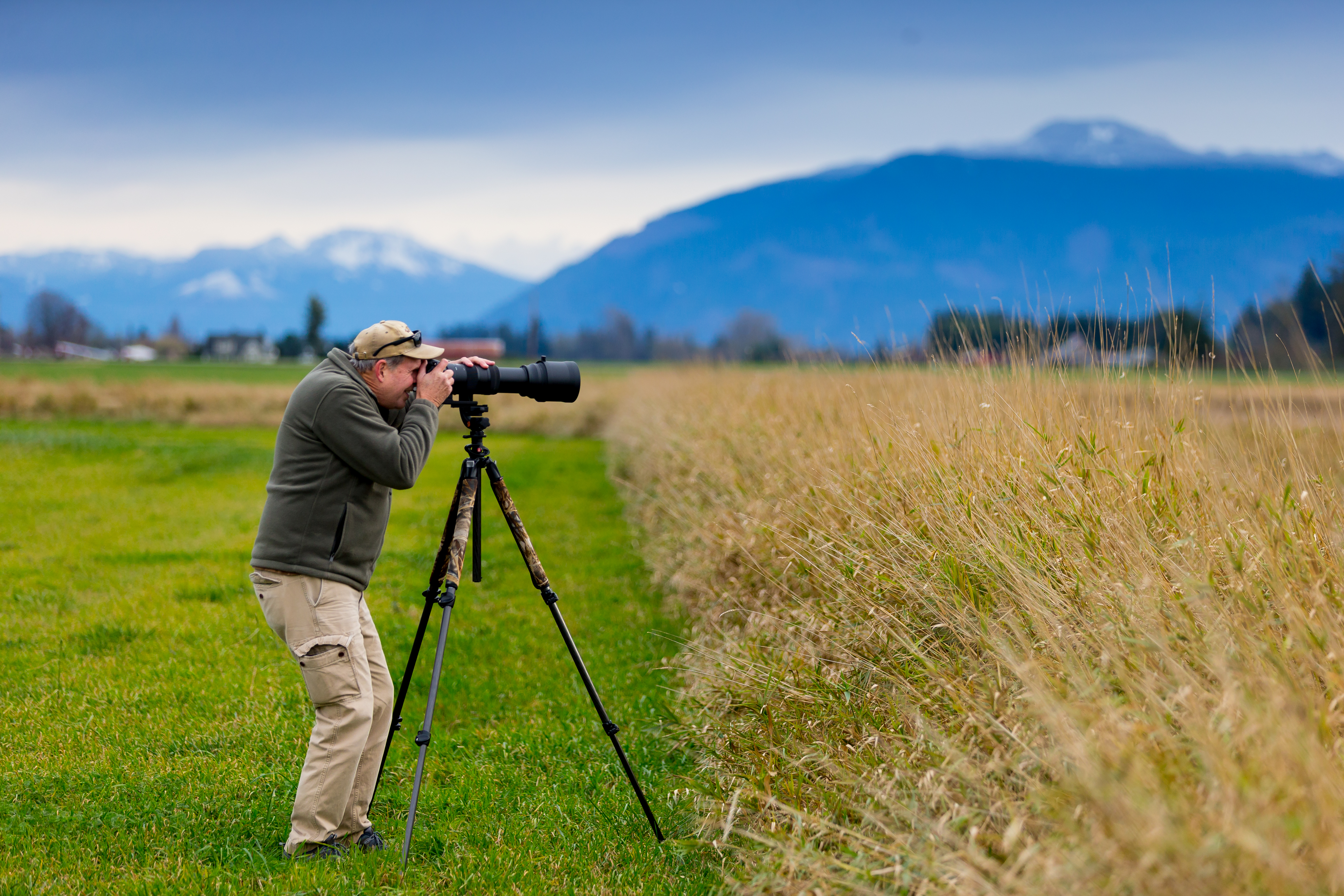 Chuck Mell, whose hobby is taking photos of nature and wildlife takes photos of snow geese and trumpeter swans in the Skagit Valley. He uses uReporter app to upload his pictures to the Skagit Valley Herald. (Photography by Scott Eklund/Red Box Pictures)