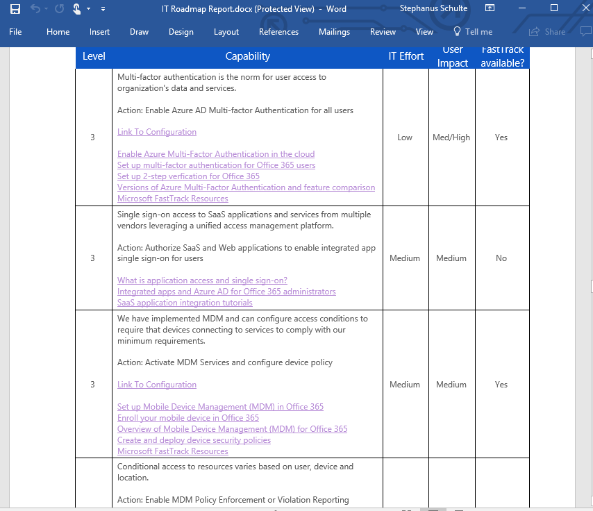 Screenshot IT Roadmap Summary Document