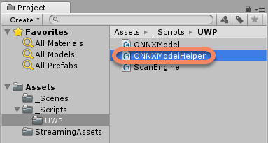 ONNX Model helper class