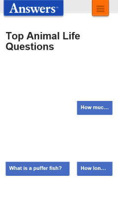 Captura de tela de www.answers.com com Windows Phone 8.1