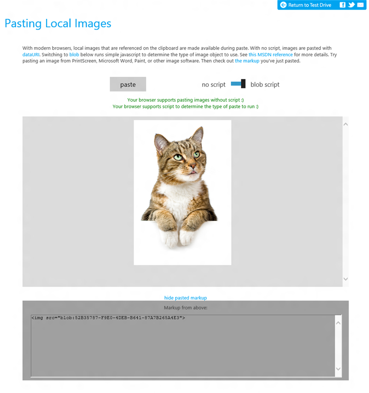 Paste Image Test Drive デモは、ブラウザーが DataUIri または Blob を使った画像貼り付けに対応しているかをテストする