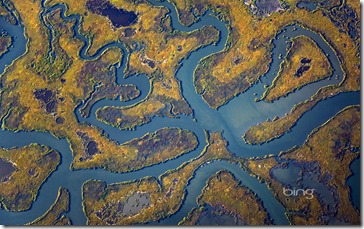 Aerial view of meandering waterways in a salt marsh on the Cape May Peninsula, New Jersey