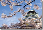 Bings Best Japan Themepack
