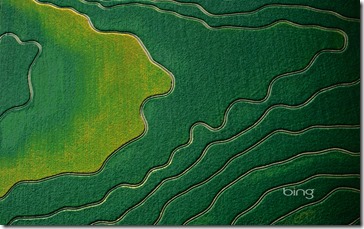 Aerial view of cultivated fields in Arizona