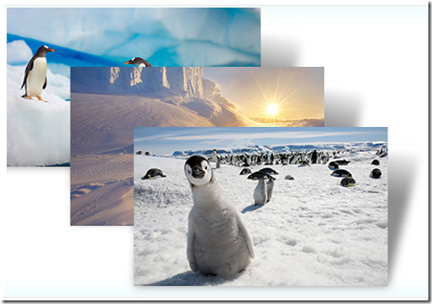 click to get the Antartica theme for Windows 7