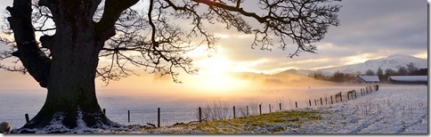 Evening light on snowy field, Perthshire, U.K.