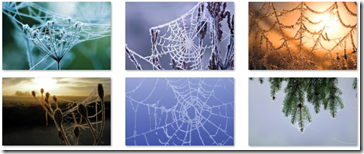 Wintry Webs theme