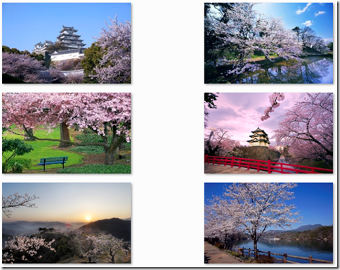 click to get Cherry Blossom Windows 7 Theme