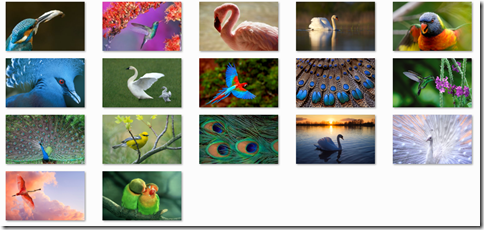 Download Beautiful Birds theme for Windows 7