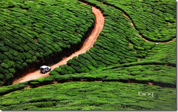 4x4 vehicle traveling through tea plantation, Kerala, Southern India