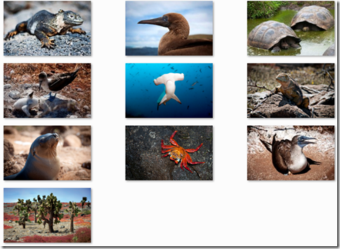 download Galapagos theme for Windows 7 by Ryan Good