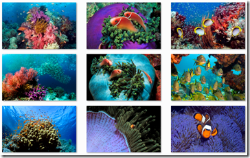 Tropical Fish theme for Windows 7