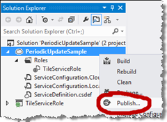 Visual Studio Publish... option