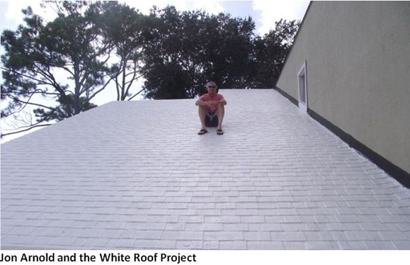 white roof 2