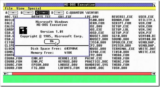Figure 1 - MS-DOS Executive in Windows 1.0