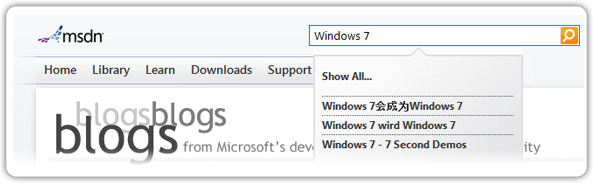 Performing a search on blogs.msdn.com