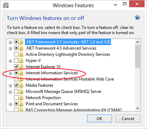Windows 기능 대화 상자에서 인터넷 정보 서비스를 선택한 모습