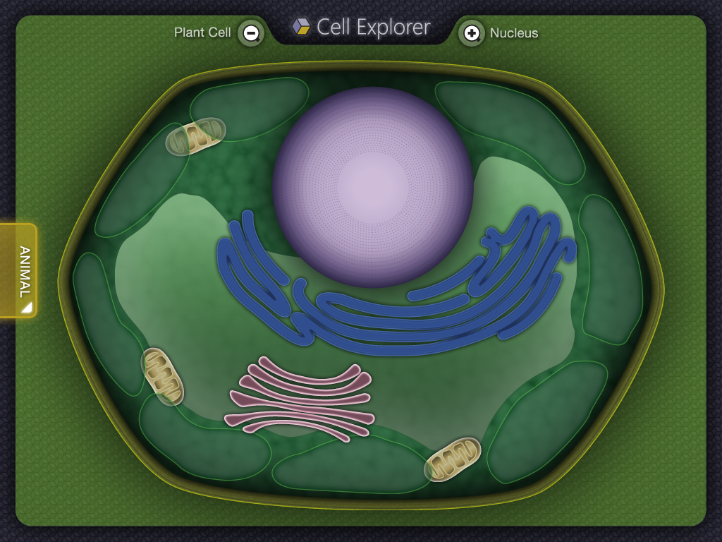 Cell Explorer 2