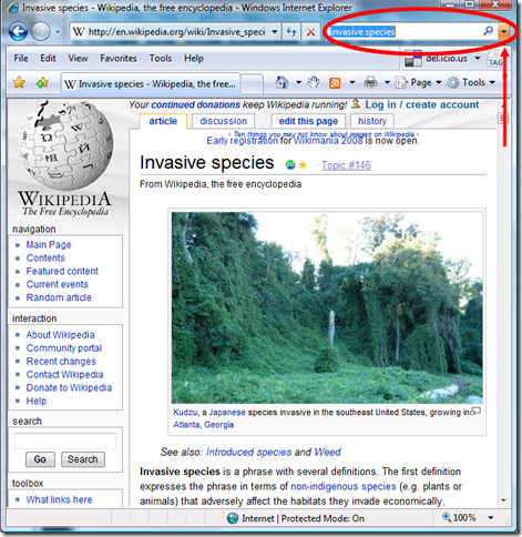 Wikipedia page in Internet Explorer 7