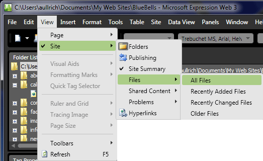 View > Site > Files > All Files menu in Expression Web 3