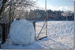 school_snowball