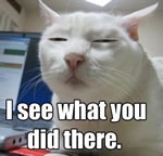LOLcat: "I see what you did there"