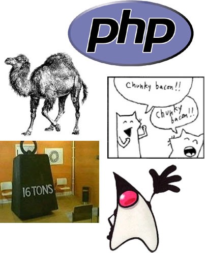 Iconss and graphics associated with Java, Perl, PHP, Pythoin and Ruby