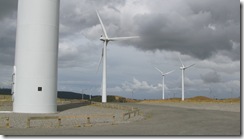 Farming wind at Te Apiti