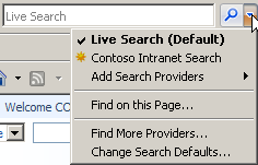 Temporary Search Provider