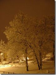 Snow at night in Arborfield Berkshire
