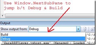 Debug and Build are the two standard output panes for the output window