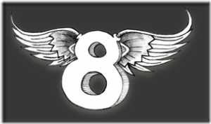 Flying8_Logo