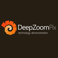 Logo-DeepZoomPix