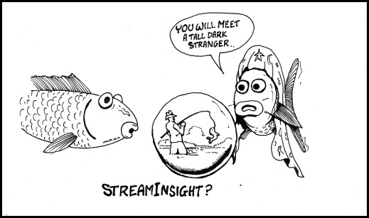 stream insight