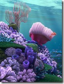 finding Nemo reef