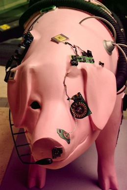 "The Sow borg" by James Kelsey