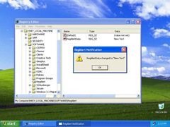Figure 1: Service dialogue shown on the XP user desktop