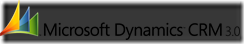 Microsoft Dynamics CRM 3.0 logo h