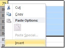 Right click to Insert in Excel