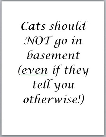 Sign: Cats should Not Go In Basement