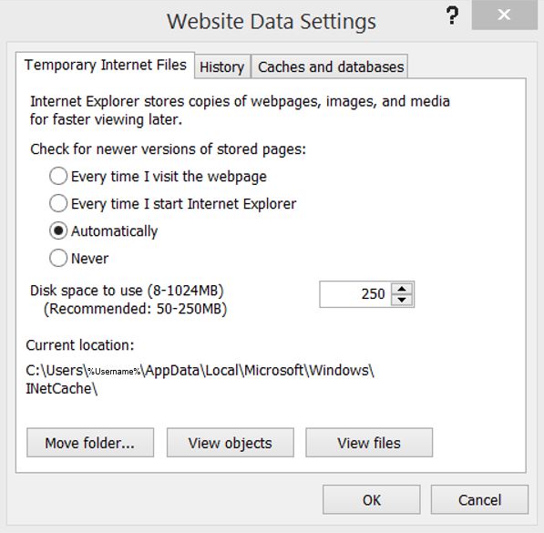 Screenshot of IE Options for Temporary Internet Files