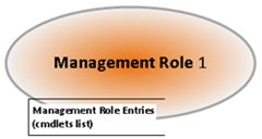 Management Role
