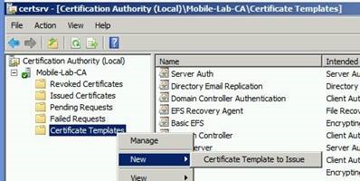 Allowing Custom Certificate Template To Be Issued