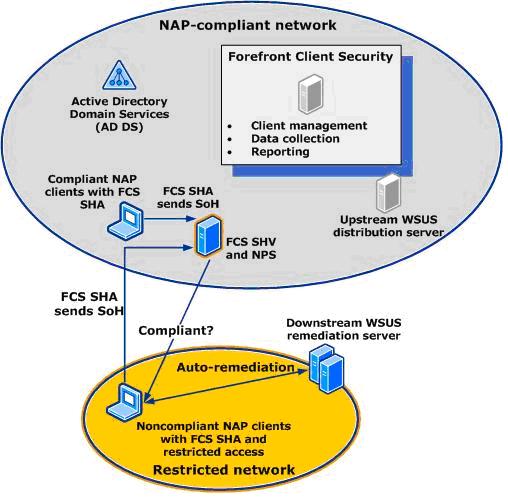 FCS NAP Architecture
