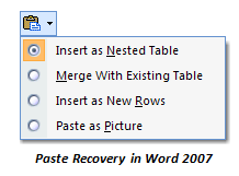 Варианты вставки в приложении Word 2007